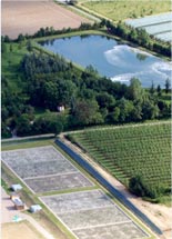 Lagunes et filtres plantés negrepelisse