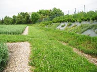 Station negrepelisse integree dans le paysage