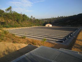 Filtres plantés de roseaux de la step Esparron-de-Verson